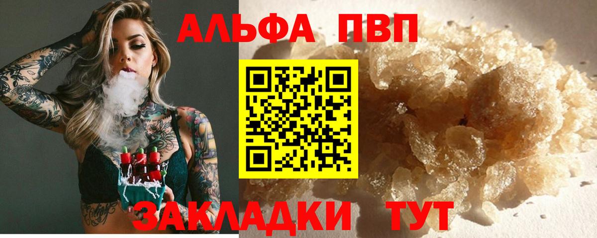 A PVP СК КРИС Обь