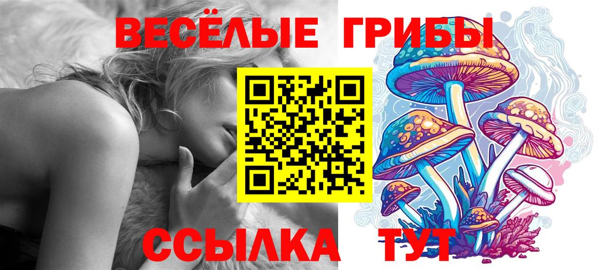 Псилоцибиновые грибы прущие грибы Обь