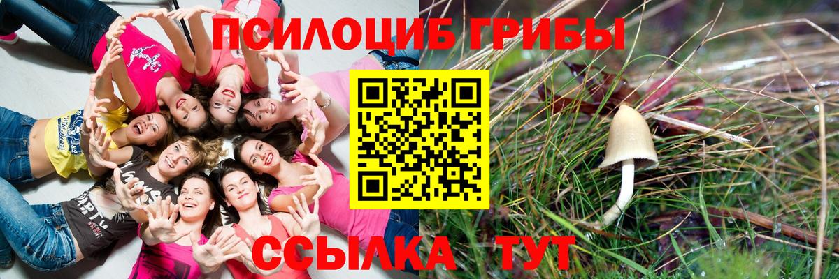 купить наркоту  Вход с VPN  Псилоцибиновые грибы Cubensis  Обь  Псилоцибиновые грибы мухоморы 